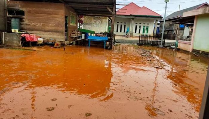 Aktivitas PT. Timah Picu Kerusakan Lingkungan di Kabaena Barat