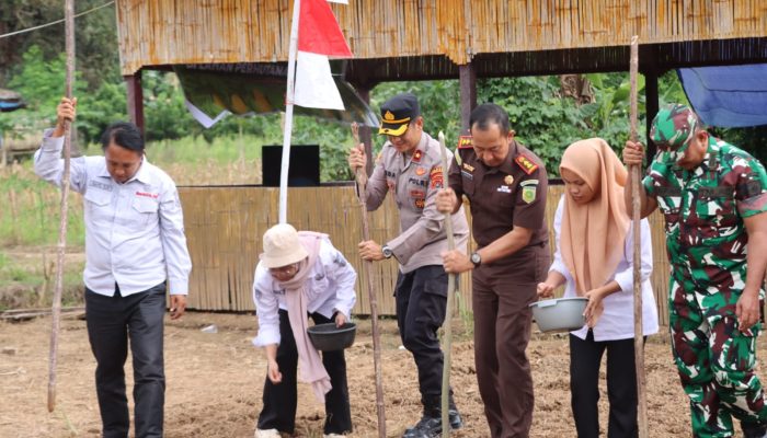 Polres Bombana Dukung Ketahanan Pangan Lewat Gerakan Tanam Jagung Serentak