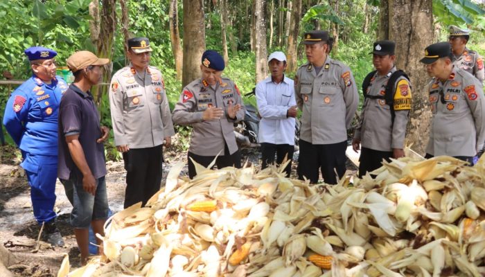 Polda Sultra Cek Lahan Jagung di Bombana, Dorong Ketahanan Pangan dan Salurkan MBG