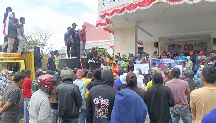 Harga Gabah Anjlok, Kantor Bupati Bombana Diserbu PetanI, Empat Pejabat Terancam Lengser