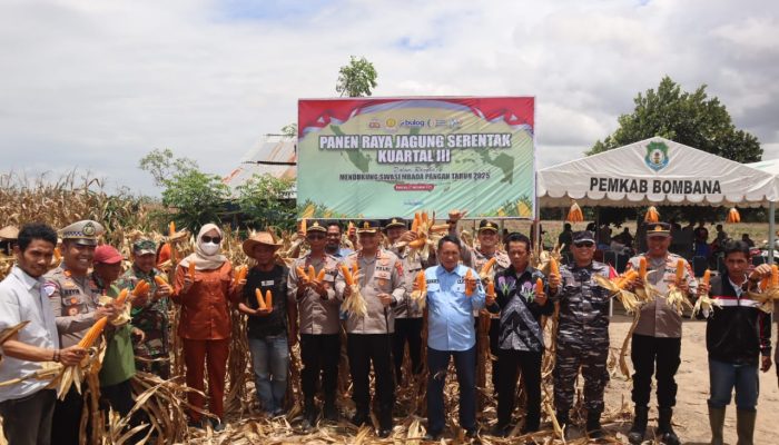 Polres Bombana dan Forkopimda Gelar Panen Raya Jagung Kuartal III di Desa Lombakasi