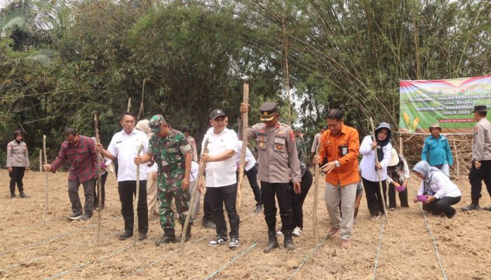 Polres Bombana Dukung Swasembada Pangan Lewat Penanaman Jagung Serentak Kuartal IV
