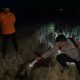 Bombana Digemparkan Penemuan Rangka Manusia di Sawah, Polisi Soroti Minimnya Laporan Kehilangan