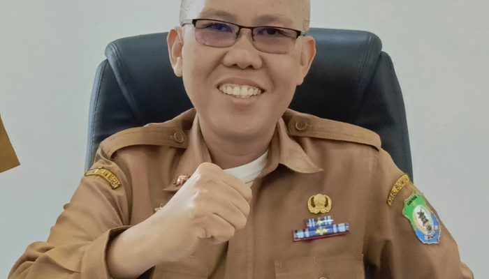 Banjir Rendam Desa Biru dan Lameong-Meong, Ini Penjelasan BPBD Bombana