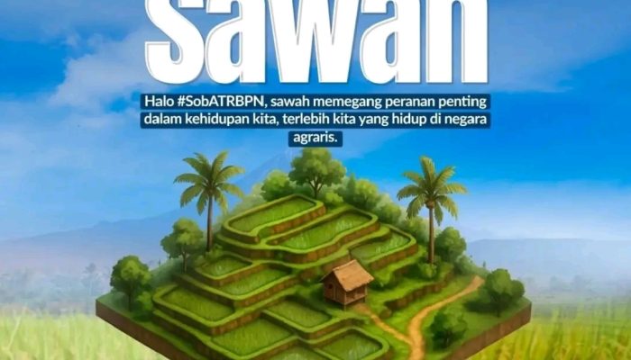Menteri Nusron Ingatkan Bahaya Hilangnya Sawah: Ketahanan Pangan Bisa Runtuh