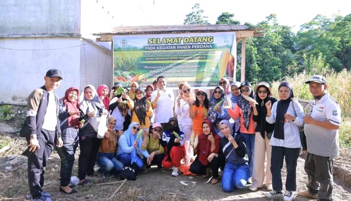 Genjot Ketahanan Pangan Daerah, Sekretariat DPRD Bombana Tak Hanya Jago Urus Rapat, Kini Panen Perdana