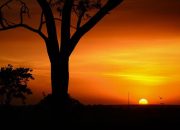 Sepotong Senja untuk Pacarku