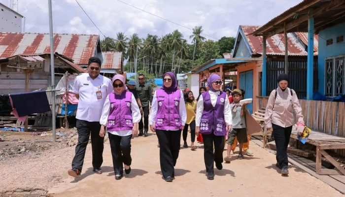 Berkunjung ke Desa Terapung, Ketua TP-PKK Sultra Bawa Konsep Baru Posyandu