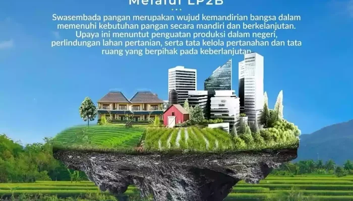 Pemerintah Perketat Alih Fungsi Sawah, LP2B Ditetapkan sebagai Lahan Permanen
