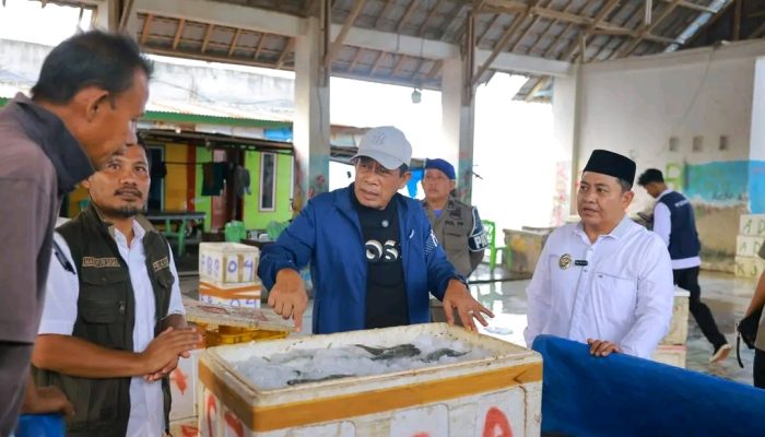 Wagub Sultra Janjikan Perpanjangan Dermaga Nelayan Saat Tinjau PPI Bombana