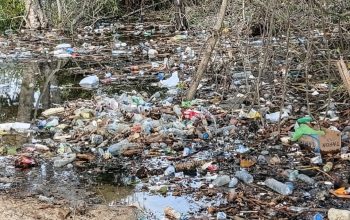 Ketua IKMB Soroti Pengelolaan Wisata di Bombana: Sampah Berserakan, Tiket Masuk Dinilai Tak Sepadan