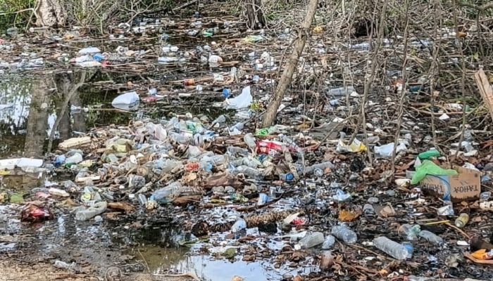 Ketua IKMB Soroti Pengelolaan Wisata di Bombana: Sampah Berserakan, Tiket Masuk Dinilai Tak Sepadan