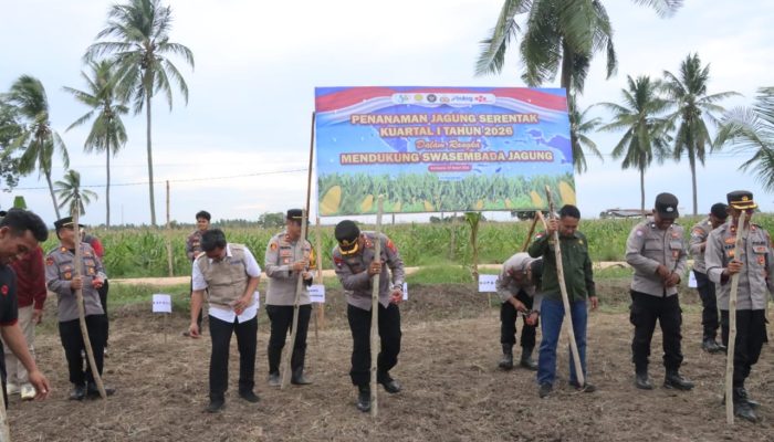 Menabur Asa di Tanah Lantari: Sinergi Polri Bersama Pemkab Bombana Menuju Swasembada Jagung