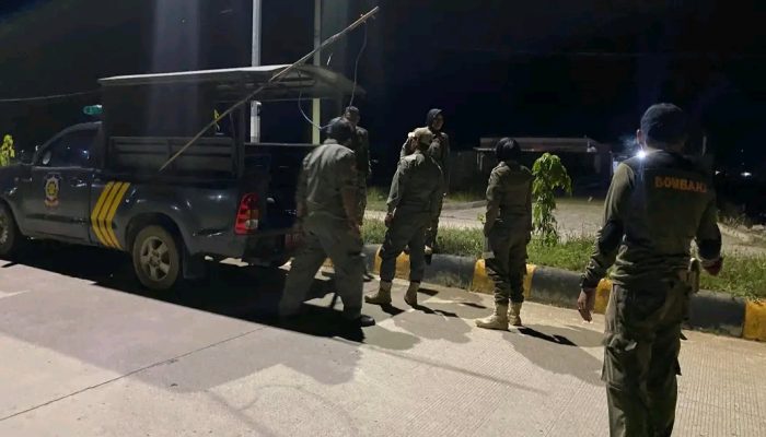 Satpol PP Bombana Tertibkan Ternak Berkeliaran, Warga Diminta Lebih Peduli