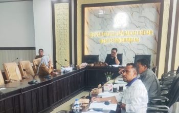 Tambang Nikel Kabaena Dicoret dari RTRW Bombana, DPRD Sesuaikan Aturan Hukum