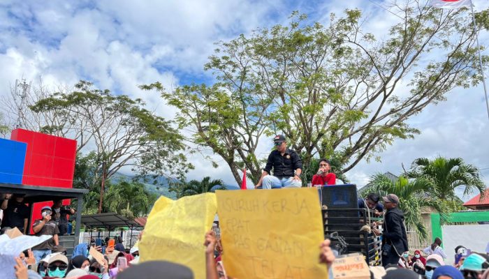 Ratusan Nakes Bombana Turun ke Jalan, Tuntut Kenaikan Honor dan Kepastian Status Kerja