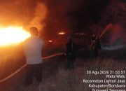 Lima Hektare Lahan di Bombana Terbakar Api Baru Padam Setelah 3 Jam