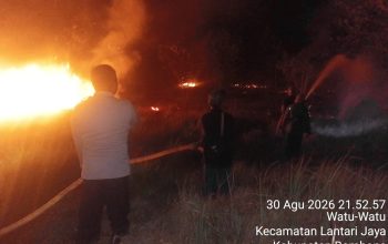 Lima Hektare Lahan di Bombana Terbakar Api Baru Padam Setelah 3 Jam