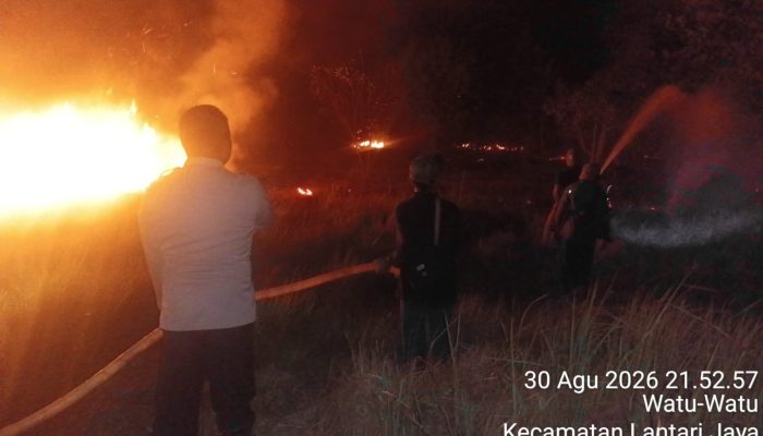 Lima Hektare Lahan di Bombana Terbakar Api Baru Padam Setelah 3 Jam