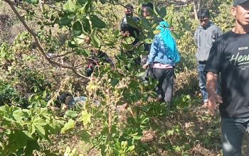 Petani Meninggal Saat Hendak ke Kebun di Poleang Utara, Polisi Pastikan Tak Ada Tanda Kekerasan