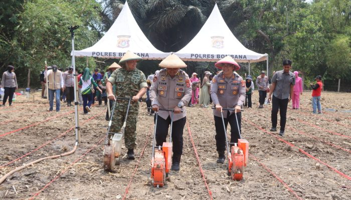 Dukung Swasembada Pangan, Polres Bombana Bersama Lintas Sektor Gelar Tanam Jagung Kuartal IV